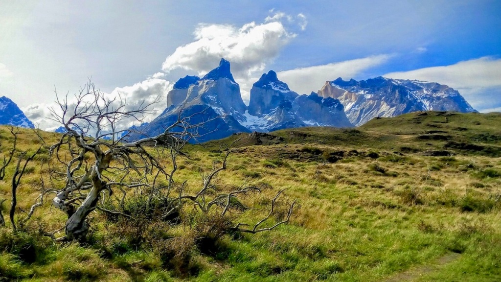 Un día en las Torres del Paine, el color especial de la Patagonia